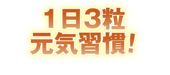 一日３粒元気習慣