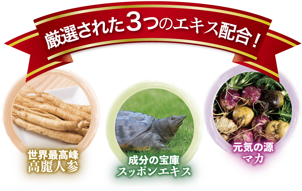厳選された３つのエキス配合！世界最高峰高麗人参、成分の宝庫スッポン、若返りの源マカ