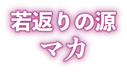 若返りの源マカ